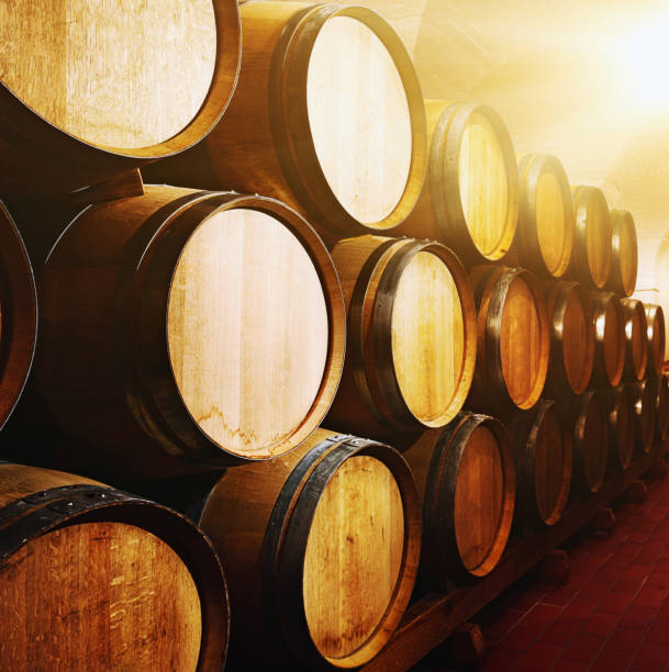 Several wooden barrels are arranged near a cobblestone path, showcasing a rustic outdoor setting.