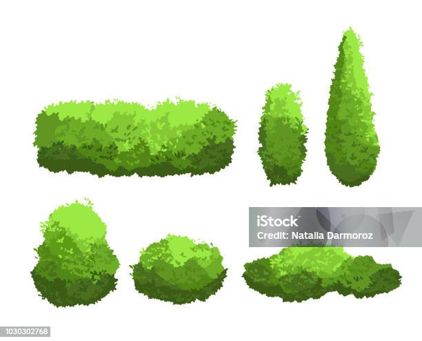 Set Vector Illustration De Buissons Verts Jardins Et Les Différentes Formes Des Arbres Décoratifs Collection Darbuste Et Bush En Style Cartoon Isolé Sur Fond Blanc Vecteurs libres de droits et plus d'images vectorielles de Abstrait