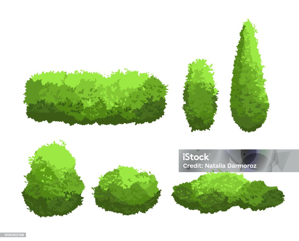 Vector illustration set of garden green bushes and decorative trees different shapes. Shrub and bush collection in cartoon style isolated on white background. Vector illustration set of garden green bushes and decorative trees different shapes. Shrub and bush collection in cartoon style isolated on white background Abstract stock vector