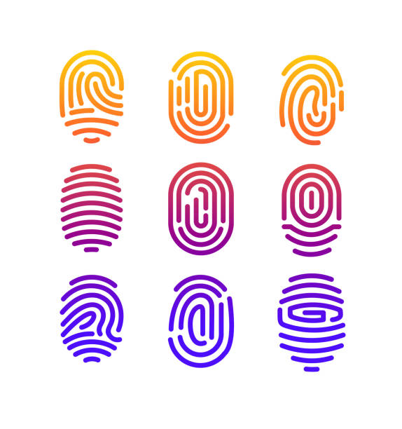 흰색 배경에서 선 스타일에 색상 그라데이션으로 다른 모양 지문 컬렉션의 벡터 그림. - fingerprint thumbprint biometrics human thumb stock illustrations