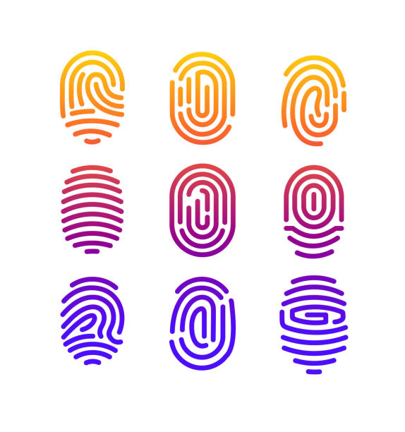 векторная иллюстрация коллекции отпечатков пальцев различной формы с цветовым градиентом в стиле линии на белом фоне. - fingerprint thumbprint track human finger stock illustrations