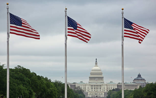 istock The Capitol Building in Washington, D.C. shot through US Flags 1030302812