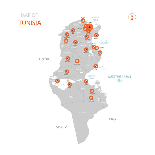 карта туниса с административными подразделениями. - tunisia stock illustrations