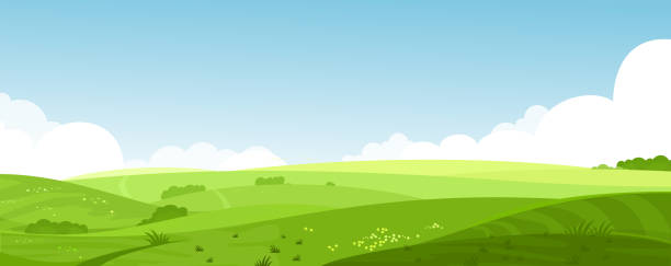 ilustraciones, imágenes clip art, dibujos animados e iconos de stock de vector ilustración de verano hermoso paisaje con verdes colinas, cielo de brillante color azul, un amanecer, fondo país en bandera de estilo plano de la historieta de los campos. - horizontal