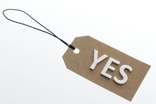 istock 3D rendering YES word on paperboard 1030315362