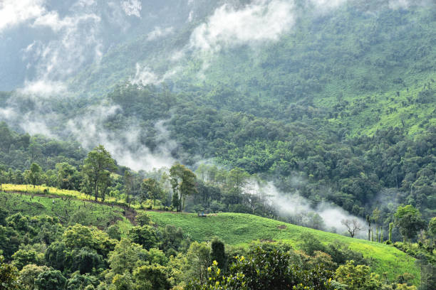 istock Doi Luang Chiang Dao in Chiang Mai 1030318814