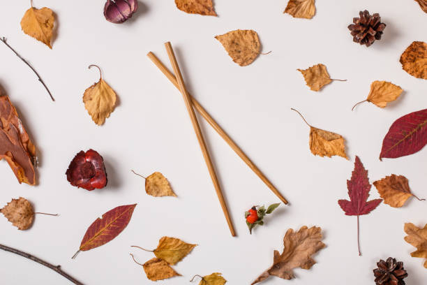 istock Asian chopsticks hold berry in autumn set 1030319156