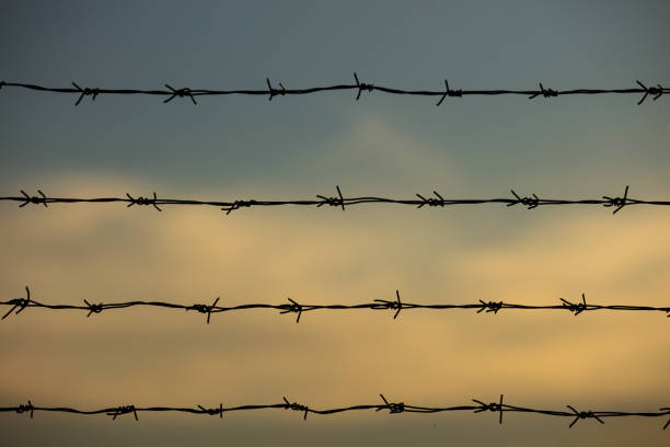 Cloudy sky with barbed wire on foreground
