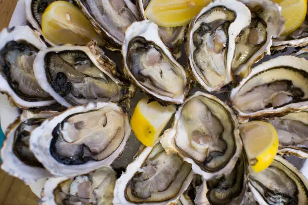 Photo of oysters with lemon