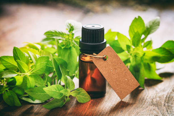 istock Fresh basil and oil on wooden background 1030322880