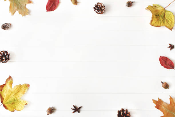 istock Autumn styled composition. Creative fall arrangement made of colorful maple, oak leaves, pine cones and acorns. Isolated natural objects on the white background. Space for text, flat lay, top view 1030332720
