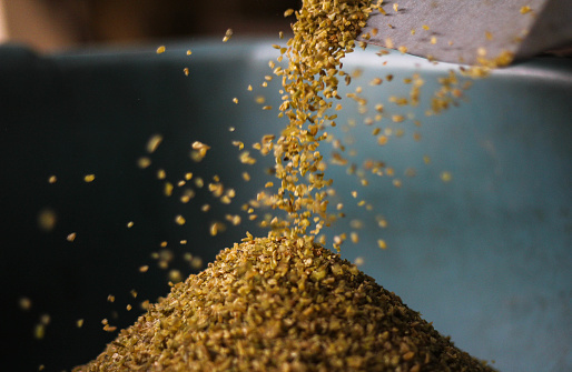 Separate Wheat From Chaff Stock Photo Download Image Now Cereal Separate Wheat From Chaff Stock Photo Download Image Now Cereal