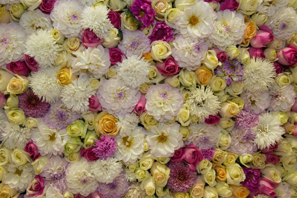 istock Beautiful composition of multi-colored flowers. Natural background 1030334722