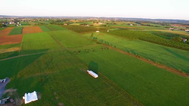 Drone aerial through Amish Countryside