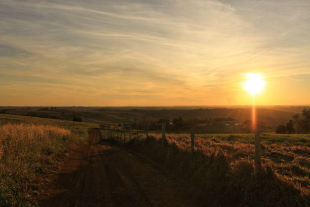 istock Rural scenario with power towers in the background 1030341360