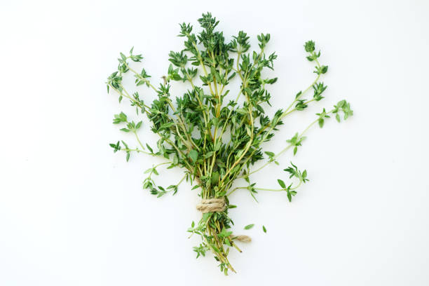 istock Bouquet of fresh thyme twigs on white background with copy space 1030344142