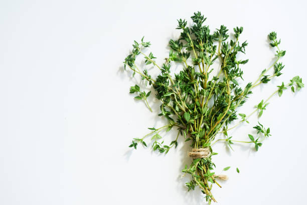 istock Bouquet of fresh thyme twigs on white background with copy space 1030344172
