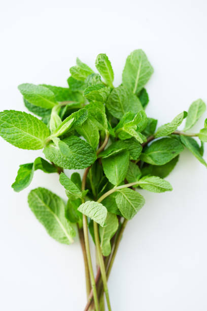 istock Close up of fresh mint leaves on white background. Selective focus 1030344294