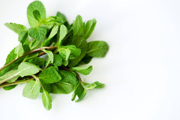 istock Overhead view of fresh mint leaves on white background with copy space 1030344322