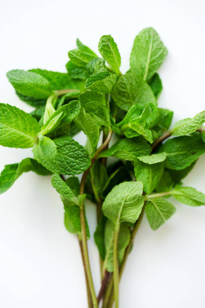 istock Close up of fresh mint leaves on white background. Selective focus 1030344336
