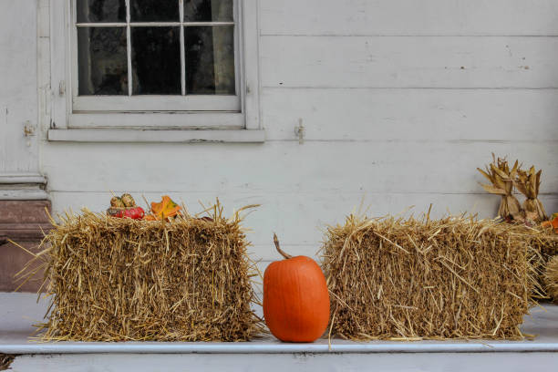 istock Pumpkin with Straw bales 1030344722