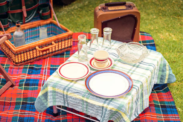 istock Vintage style picnic setup on grass 1030344848