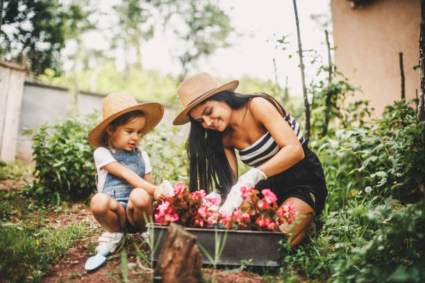 madre e figlia che lavorano in giardino - plant flower ornamental garden flower bed foto e immagini stock