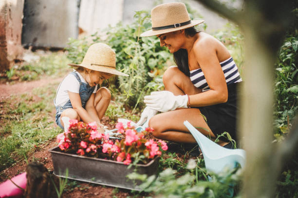 istock Working in the garden 1030348812