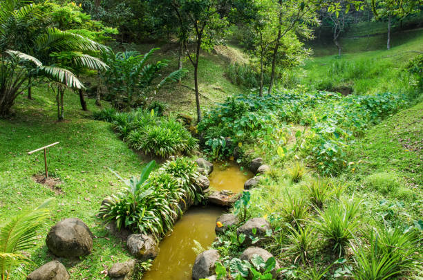 istock Natural view of the stream surrounded by green forest. 1030354712