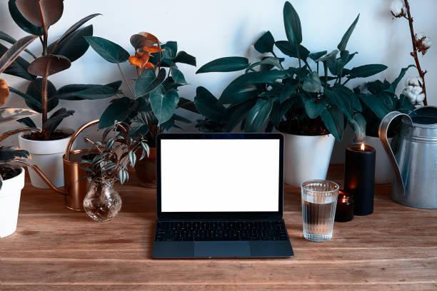 istock Personal modern Laptop on wooden table with beautiful green plants, hygge interior, empty space for design layout 1030367028