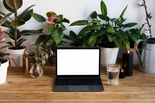 istock Personal modern Laptop on wooden table with beautiful green plants, hygge interior, empty space for design layout 1030367064