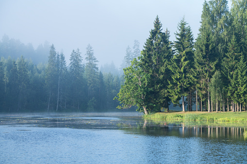 A river on a early summer morning. Mist can be forming in the distance.
