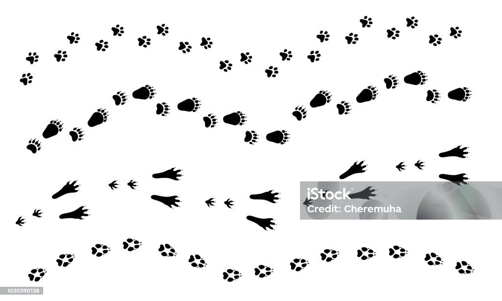 Gato, perro, lobo, conejo, huella de oso. Conjunto de huellas de animales, de la pata. - arte vectorial de Huella de pata libre de derechos