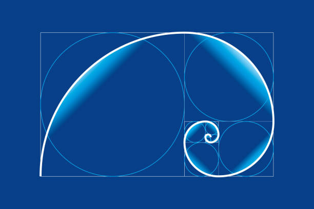 Golden Proportion High Resolution Image 170+ Golden Ratio In Nature Stock Illustrations, Royalty-Free Vector ...