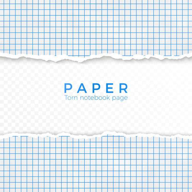 ilustrações, clipart, desenhos animados e ícones de borda rasgada do papel quadriculado azul. rasgado o pedaço de papel quadriculado de caderno. página em branco, isolado no fundo transparente. ilustração vetorial - torned