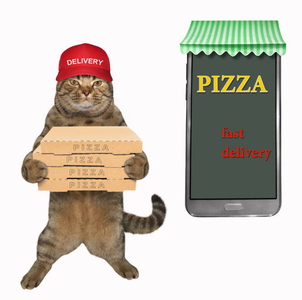 istock Cat with pizza near a big phone 1030391840