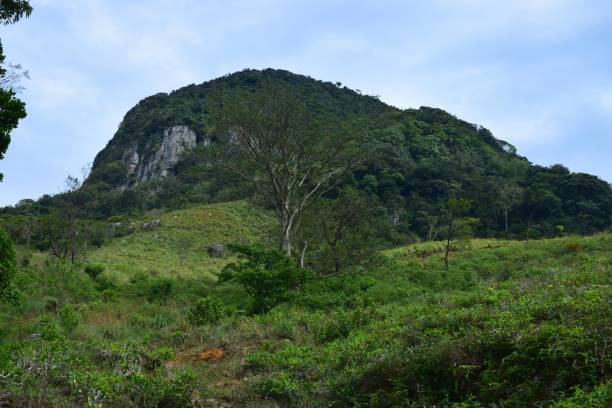 istock Rock mountain in Sri Lanka 1030394302