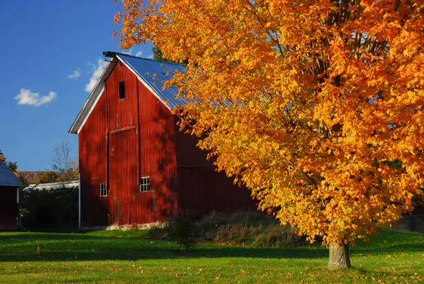 A classic New England autumn scene