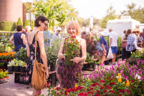 Older and Younger Women Admire Potted Flowers For Sale at the Winter Park Farmers Market This is a horizontal, color photograph of the Winter Park, Florida famers market. An older caucasian woman holding a plant admires the flower as she shows it to the younger woman with her. Other people shopping can be seen in the background of Saturday morning market. winter park florida stock pictures, royalty-free photos & images