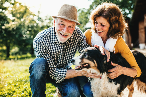 A close-up of a joyful senior couple crouching and petting a dog.