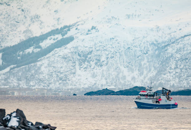 barco de pesca navegando en un paisaje de invierno cubierto de nieve en la islas lofoten - lofoten henningsvaer norway village fotografías e imágenes de stock