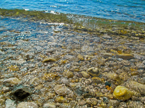 istock Transparent water and pebbles on the beach coast. 1030413872