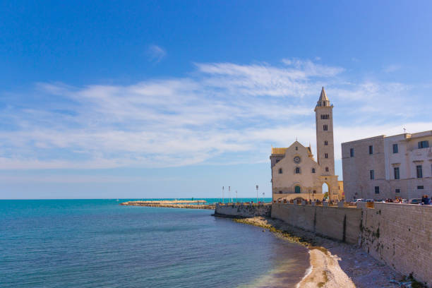 istock Trani landscape: Cathedral on the sea 1030418974