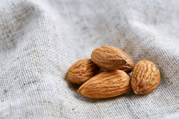 istock Peanut shells food background, close-up, shallow depth of field, macro. 1030434872