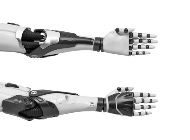istock 3d rendering of two robot arms with hand fingers held straight and compact for a tight handshake 1030437988