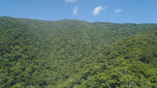 istock View of mountain landscape with rainforest 1030438276