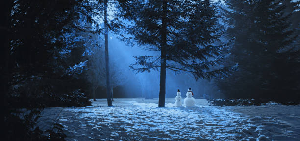 волшебная зимняя сцена в лесу с двумя снеговиками. - glade forest panoramic tree стоковые фото и изображения