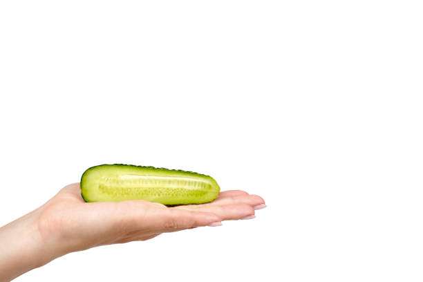 Fresh green cucumber with hand isolated on the white background, copy space template