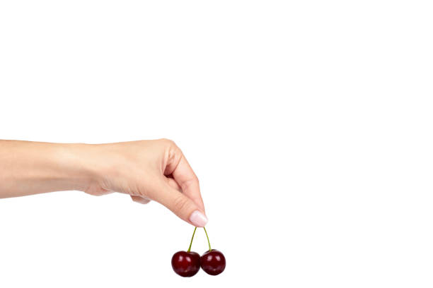 Sweet ripe cherry with hand isolated on white background, copy space template
