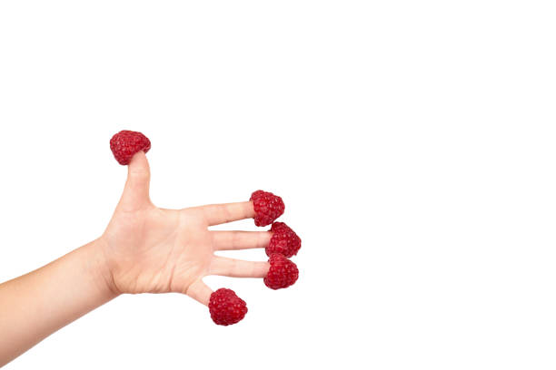 Organic fresh raspberry with kid hand isolated on a white background, copy space template